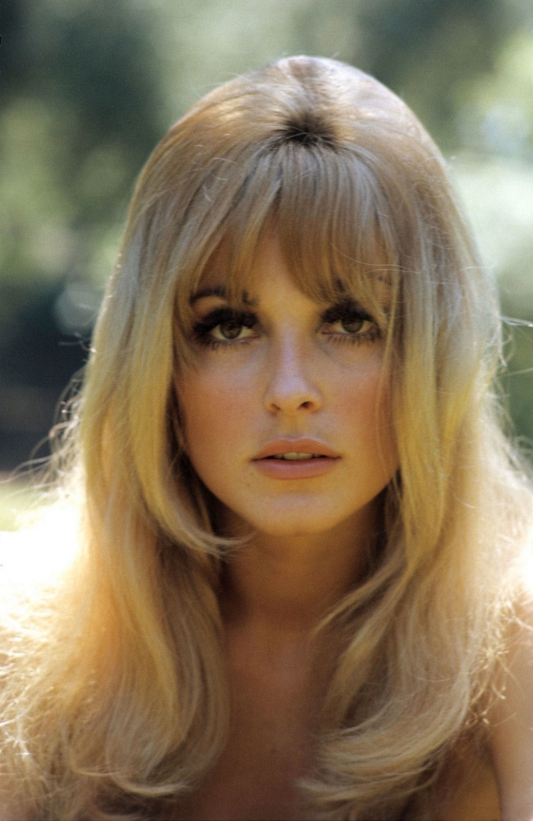 The Life And Legacy Of Sharon Tate A Deep Dive Into The Iconic Actress
